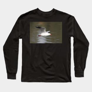 Silver Gull in Flight Long Sleeve T-Shirt